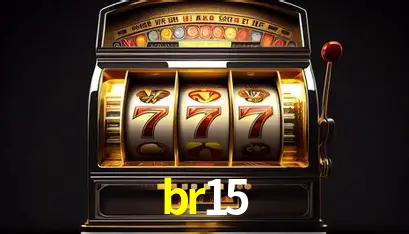 Interface Premium br15
